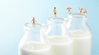유당 분해 효소 부족한 성인, 우유 마시면 당뇨병 위험 30% 감소