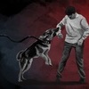 “개 물림 사고, 덥고 대기오염 심한 날 더 자주 발생한다”