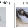 전국에 말라리아 경보 발령…