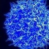 나노미터 크기 세포간 메신저 '엑소좀'으로 병 고친다