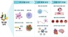 '딱 한잔'에도 심방세동 위험↑…