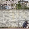 ‘세상에서 가장 슬픈 병’ 치매, 조기에 발견하려면?