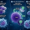 '암세포를 세균 인식해 면역공격'…인하대, 새 항암기술 개발