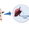 강한 파도에도 떨어지지 않는 '홍합 접착물질' 지혈 효과 증명