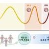 코로나19 변이 바이러스에 맞서 우리 몸 면역반응도 변화한다