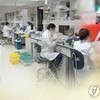 K-바이오, 전 세계 코로나19 치료제·백신 생산기지로 떠올랐다
