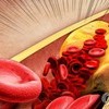 질병청, '만성질환 진단검사' 시약·장비 정확성 평가(종합)
