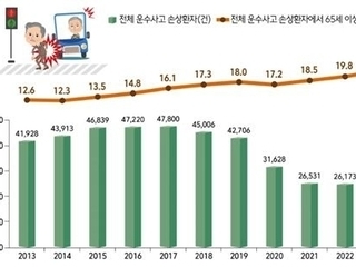 '차사고' 손상환자 21.6%는 65세 이상…