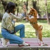 반려동물에게 물렸다면, '작은 상처'라고 방심은 금물