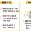벌쏘임 70%는 여름철 발생…5년간 13명 사망