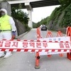아프리카돼지열병 한 달 만에 재발…정황근 장관 