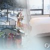 12월 24일 전국 식당 5인이상 모임 금지…스키장-해돋이명소 폐쇄
