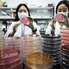 세균성 장염 환자 일주일새 31%↑…입원시 평균진료비 130만원