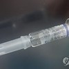 식약처 