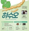 흰 머리를 검은 머리로…산림청, 7월 임산물 '하수오' 선정