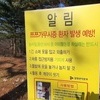 3주간 쯔쯔가무시증 환자 8배 증가…
