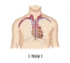 음악듣는 일 개심술 환자 불안 진정시켜