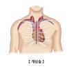 음악듣는 일 개심술 환자 불안 진정시켜