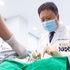 고령·만성질환자 임플란트 시 통증과 출혈 고민 해결책은?