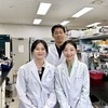 스스로를 공격하는 자가면역질환 면역반응 완화 '스위치' 찾았다