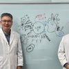 KAIST·화학연 연구팀, 면역항암제 안 듣는 난치성 뇌종양 치료 가능성 열었다