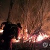이례적 2월 동시다발 산불…건조한 대기와 강풍이 피해 키워