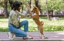 반려동물에게 물렸다면, '작은 상처'라고 방심은 금물