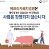 아프리카돼지열병은 사람에게 감염되지 않습니다. 