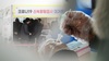“코로나 걸리면 당뇨병 위험 40% 높아진다”