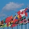 OECD 통계로 보는 한국의 보건의료