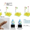 코로나 등 호흡기 감염 30분 만에 확인…신속 검출기술 개발